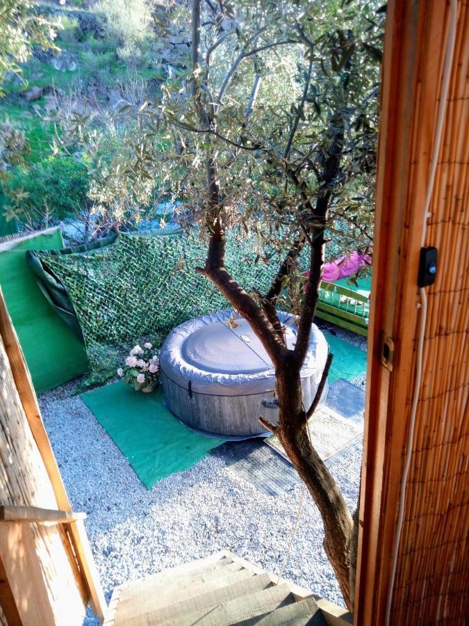Treehouse ,Casa Arbol, With Spa Algarrobo Exterior foto